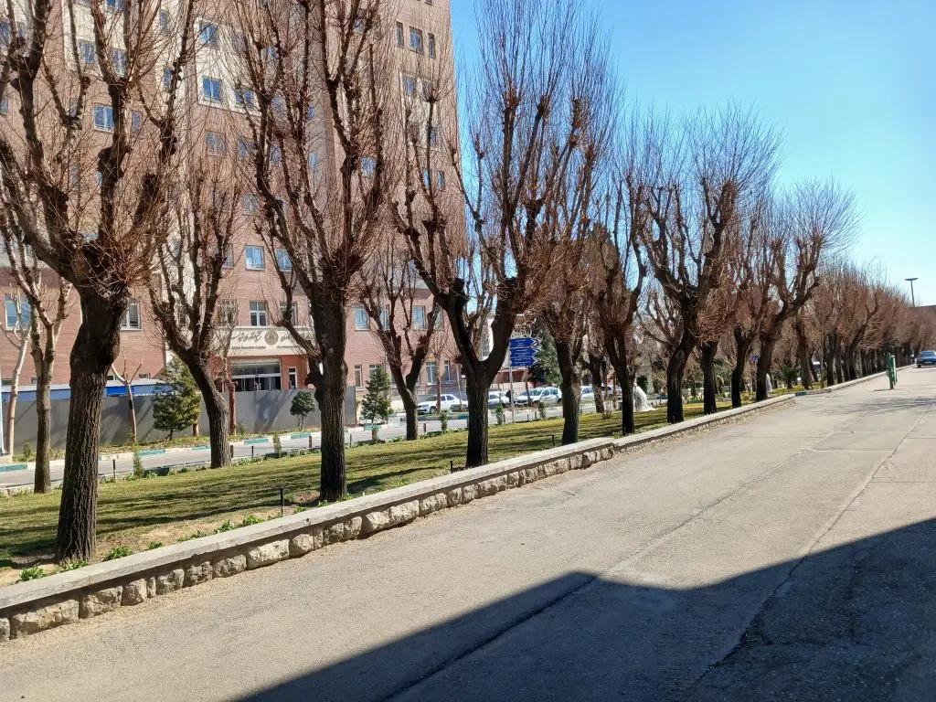 Interior view of Sharif University of Technology campus